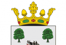 CU DRAGOSTE PENTRU STEMĂ ŞI DRAPEL