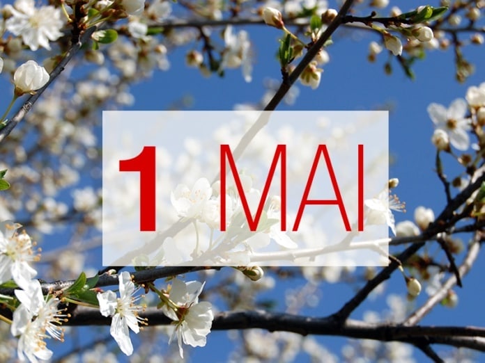 4819-1MAI