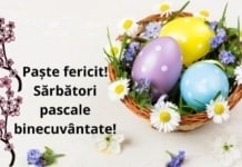Mesaj de felicitare