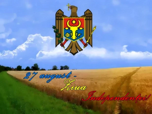 035tz1lrhtxwqfew9zp1