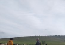 Vizita la ferma de ovine și căprine din comuna Pleșeni, raionul Cantemir