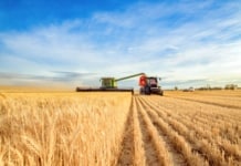Mesaj de felicitare cu ocazia Zilei Lucrătorului din Agricultură și Industria Prelucrătoare