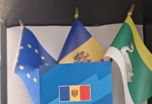 29 iulie – Ziua Constutuției Republicii Moldova