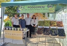 FPC Podgoreni SRL, raionul Cantemir premiat la Festivalul Național al Strugurelui, ediția a X-a din Cimișlia.
